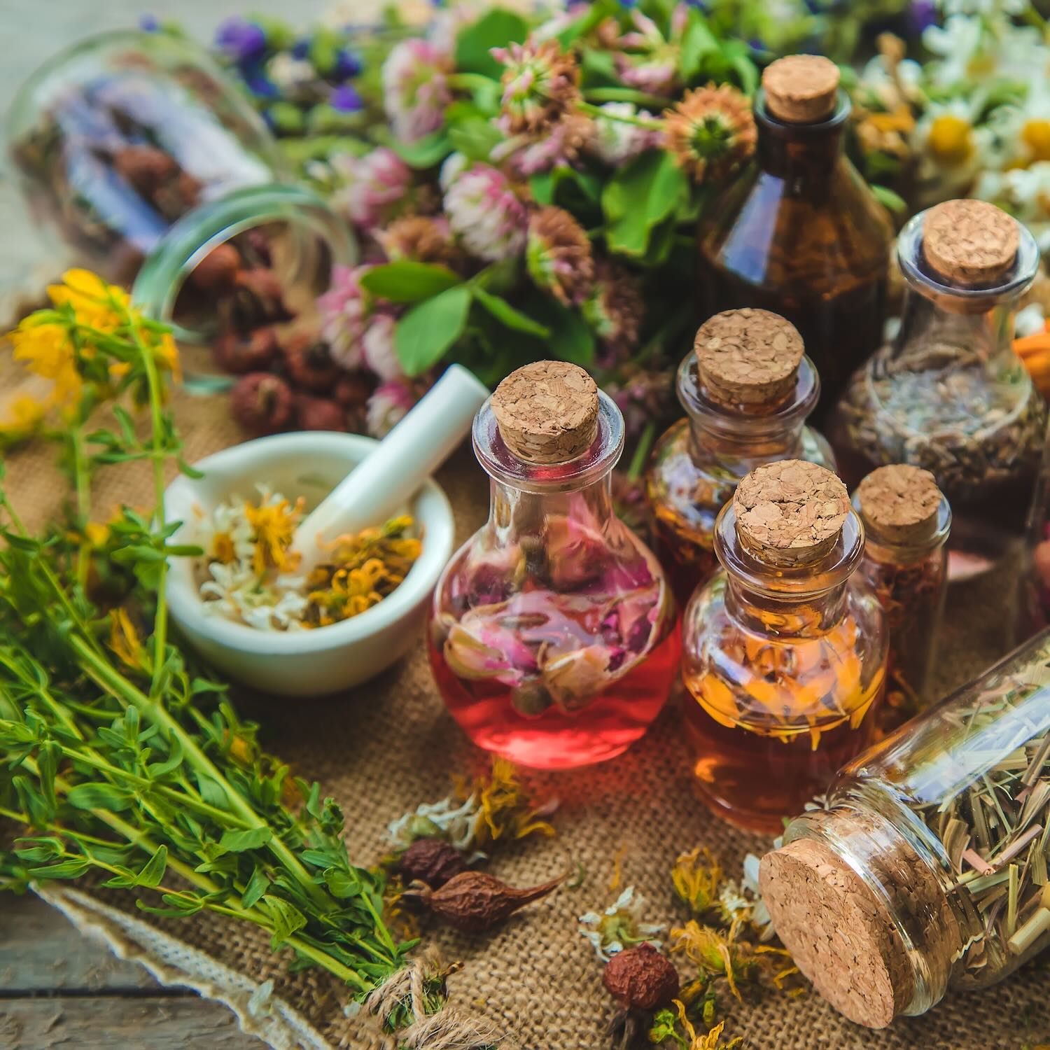 Phytothérapie, fleur de bach, Pharmacie du Centre Paray-le-Monial